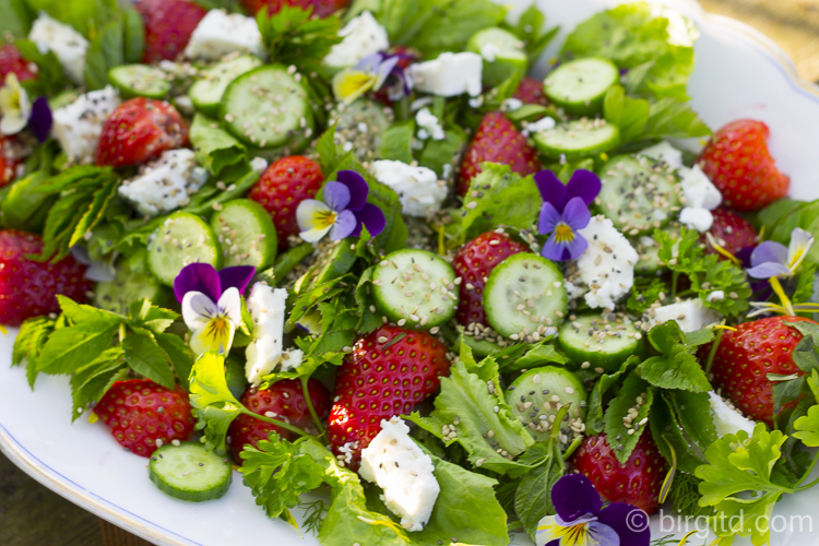 Frühlingsfrischer Salat