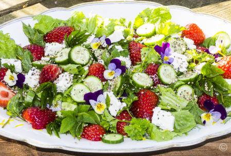 Frühlingsfrischer Salat mit Fenchel, Erdbeeren, Schafskäse, Chia & mehr