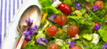 Sommersalat mit Melone, Schafskäse und vielen Kräutern