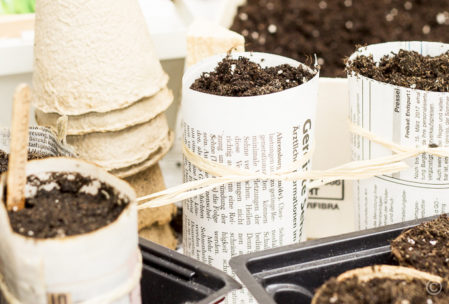 DIY: Anzuchttöpfchen aka Paper pots aus Zeitungspapier selbst herstellen