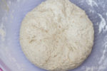 Körnerbrötchen - der fertig geknetete Teig
