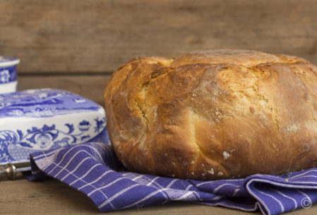 Brote aus aller Welt – französische Brioche (no-knead) & Hamburger Buns