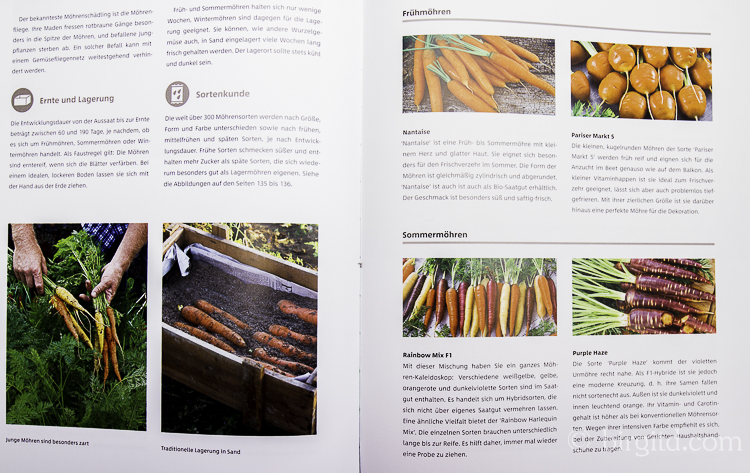 Gemüse und Kräuter im Garten - Möhren (Foto aus dem Buch)