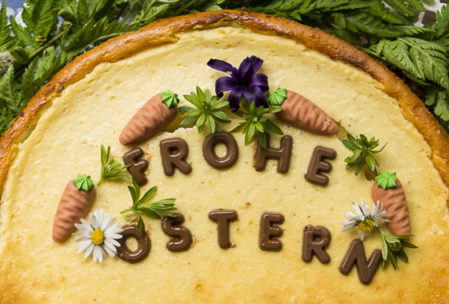 Käse-Schokokuchen mit Eierlikör fürs Osterfest