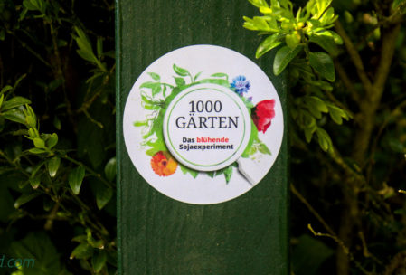 1000 Gärten – Sojabohnen-Anbau in Schleswig-Holstein