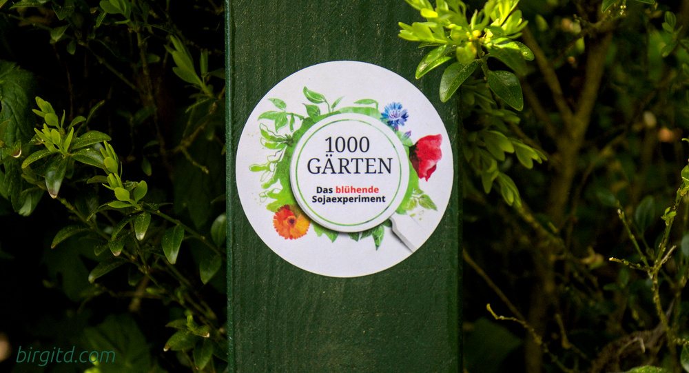 1000 Gärten - Das Sojabohnen-Experiment